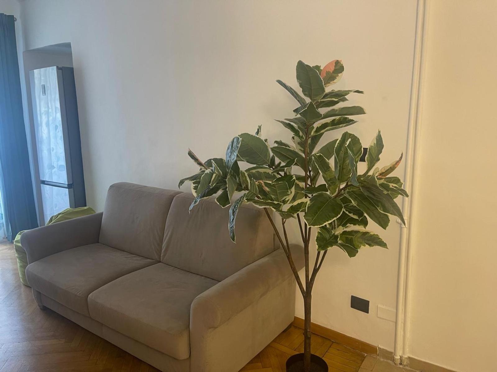 Torino Natura In Centro Exteriör bild