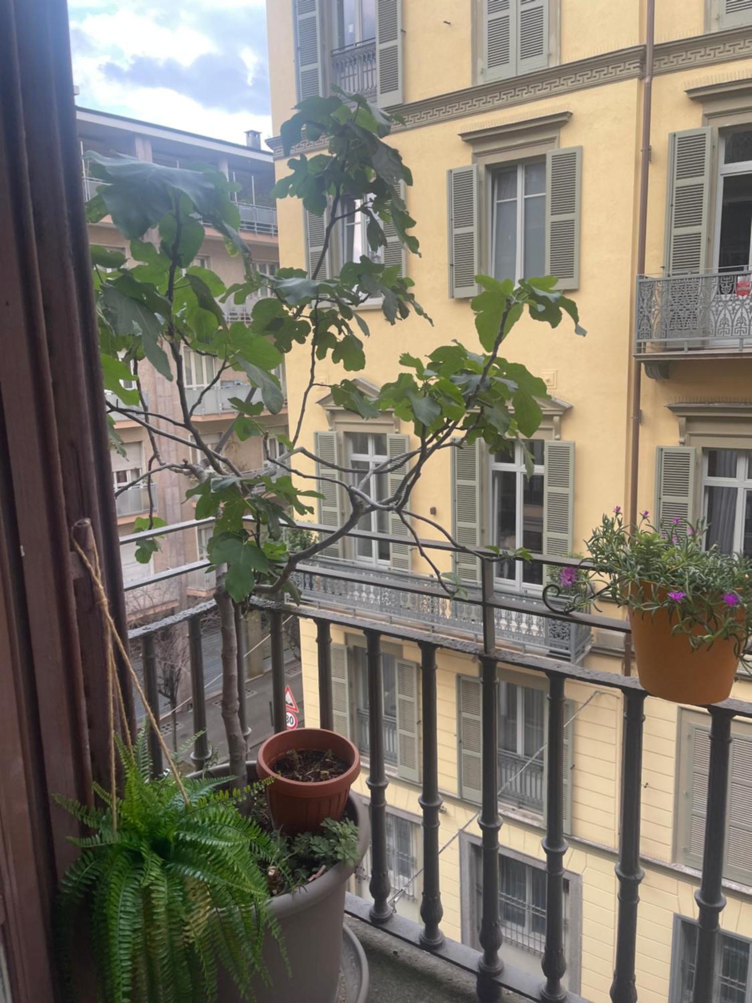 Torino Natura In Centro Exteriör bild